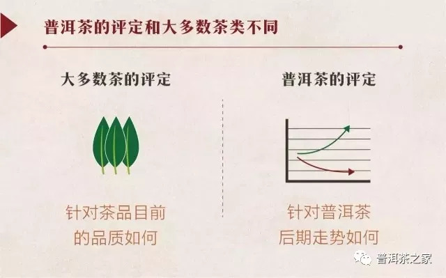活色生香的含义,越陈越香的普洱茶有哪些基础