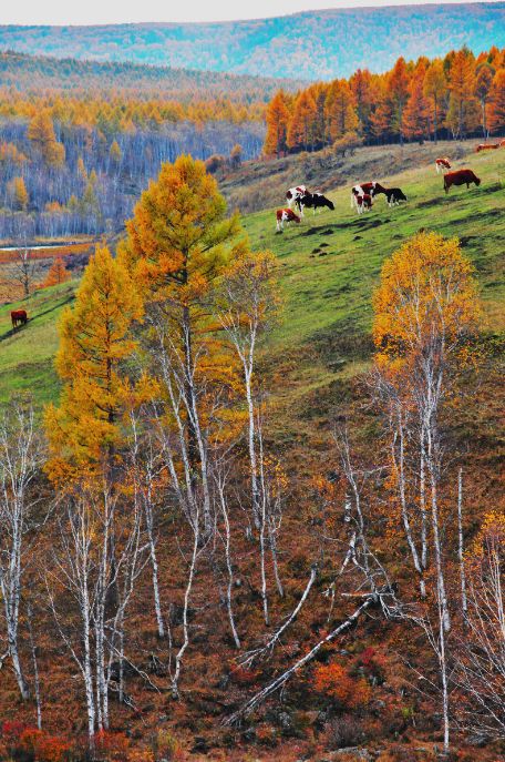 这些绝美小黄片，已经陆续在全国上线，找个时间去扫黄吧