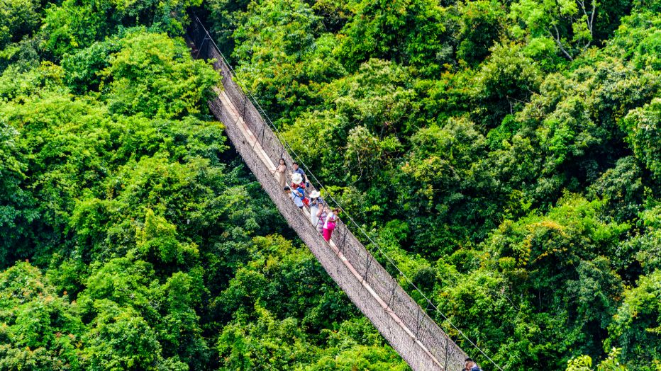 1200㎡透明泳池小红书点赞100w+,这家黄金海岸边的酒店才是海岛季首选