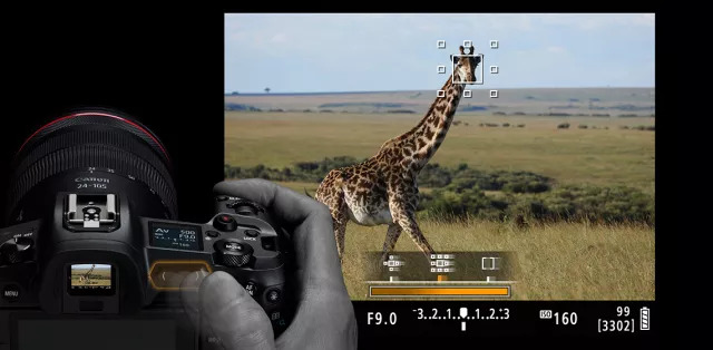 佳能eosr与r6有何区别,佳能eosr实操