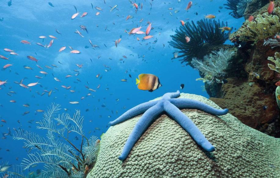 世界十大度假海岛排行榜前十名,全球海岛旅游推荐排行榜前十名