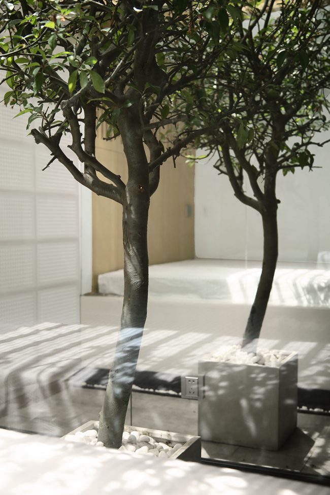 猫屋和主人屋一个房间,一只猫咪6平米玻璃猫屋设计