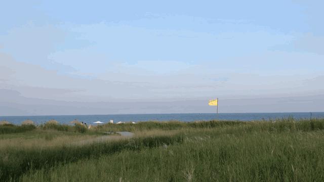 北戴河五大网红地标打卡游攻略,北戴河湿地公园网红打卡地