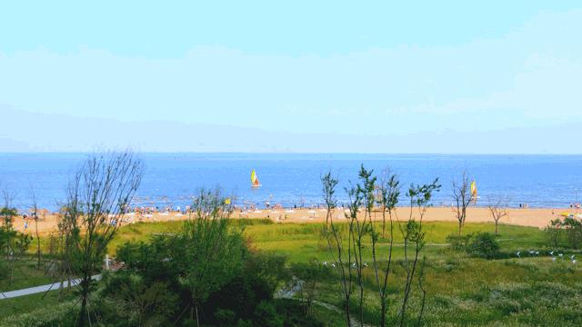 北戴河五大网红地标打卡游攻略,北戴河湿地公园网红打卡地