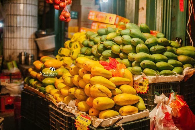 一家三口看海记，私藏本土美食美景攻略