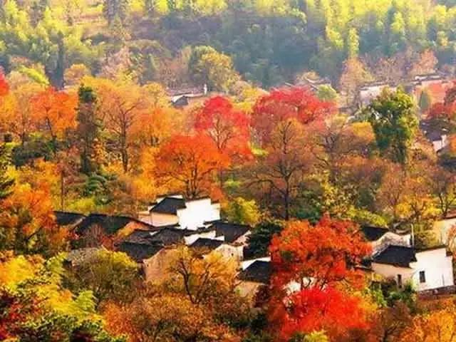 金秋10月最适合自驾之地,秋季最美自驾攻略