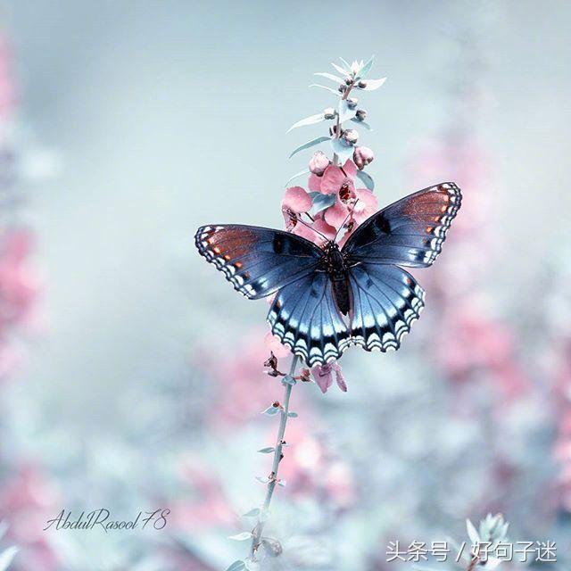 好听的qq个性签名大全,好听的qq个性签名英文