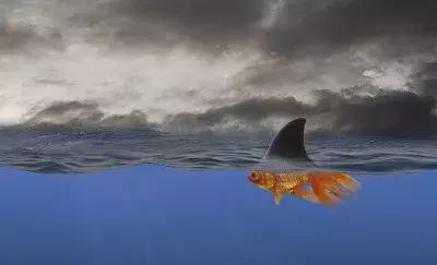 鎷嶆,鎷嶆瀹屾暣瑙嗛鐜夌煶淇辩剼