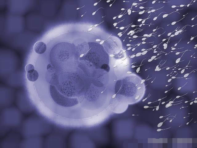 受精卵着床成功时有感觉吗？若有这3个“表现”，恭喜你怀孕了！