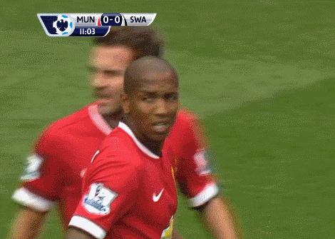 鑸屽皷涓婄殑鐗ц崏,鑸屽皷涓婄殑鑽夊師鐗涙帓