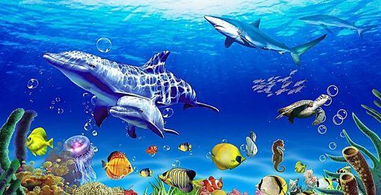 凡尔纳海底两万里的简介,《海底两万里》最绮丽的海底风光