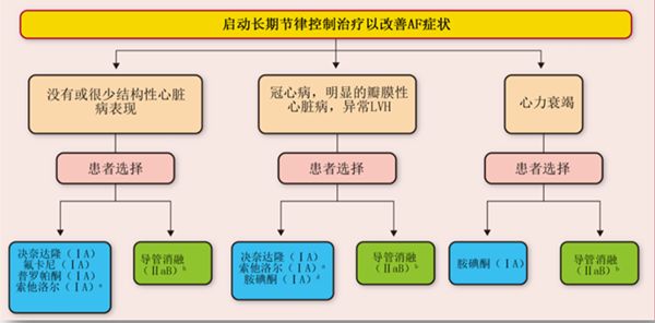「房颤专项能力培训第7期」刘志敏：房颤患者节律控制的长期药物治疗