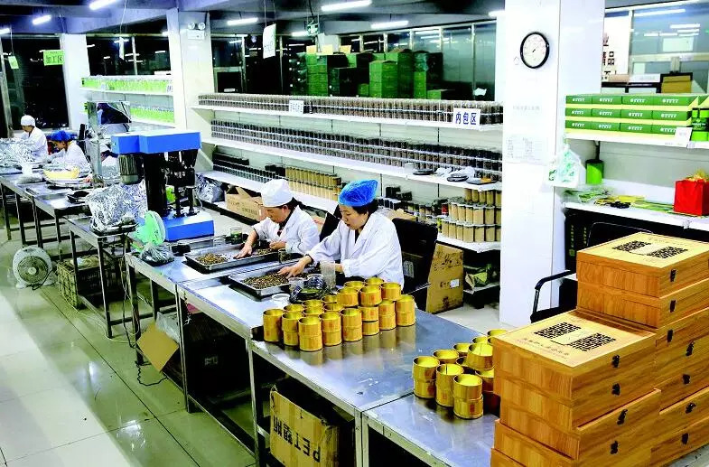 蒲公英里有虫子吗,蒲公英有花有果