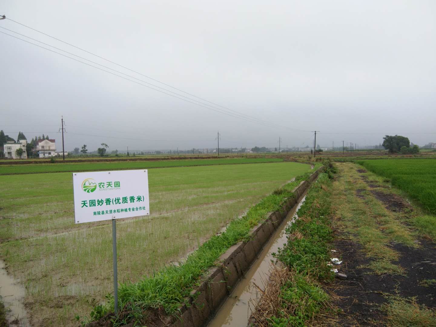 90后大学生返乡种地记录生活点滴 (90后大学生返乡种地)