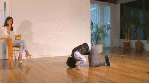 从如龙0、后街女孩、赌博默示录看日本yakuza(黑帮)的影子