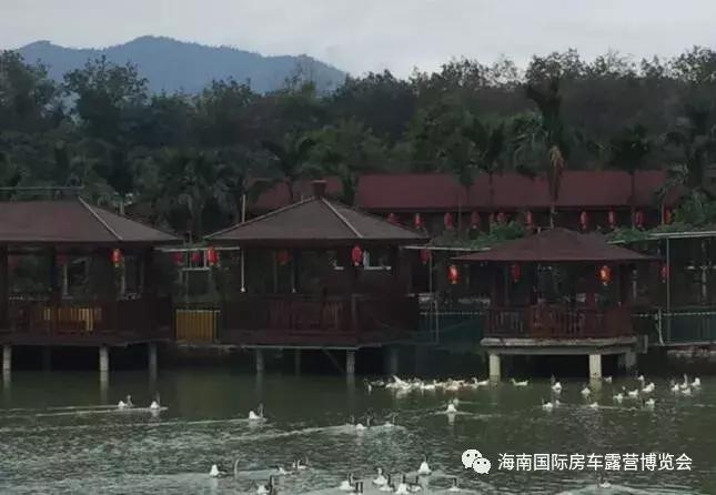 呦喂，老司机们！2018最新最全的海南营地数据更新啦……