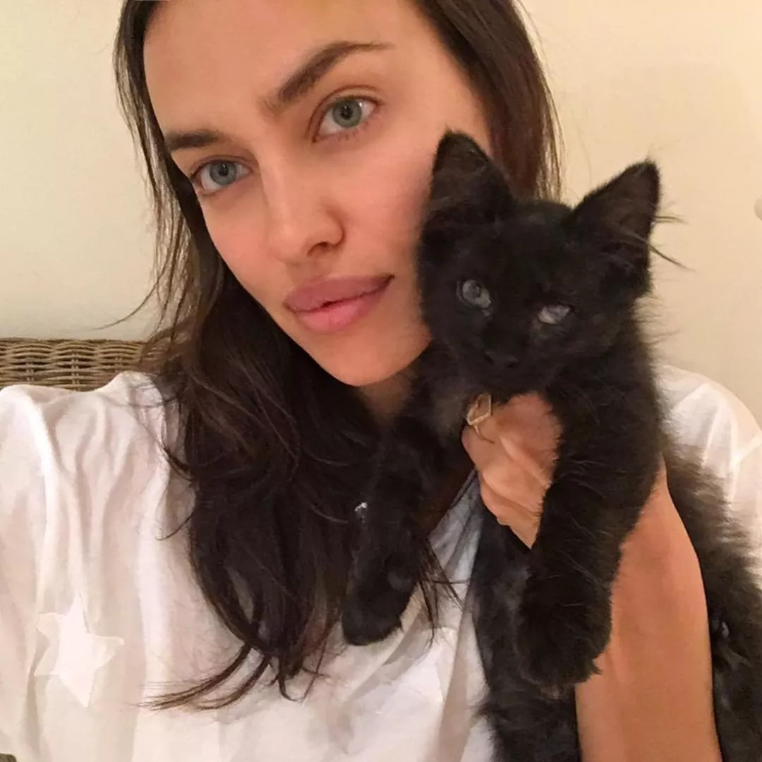 维密超模猫咪,维密秀猫咪