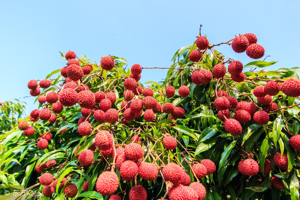 桂南小城灵山，机遇在哪？北部湾，一副好棋下错了车马炮……