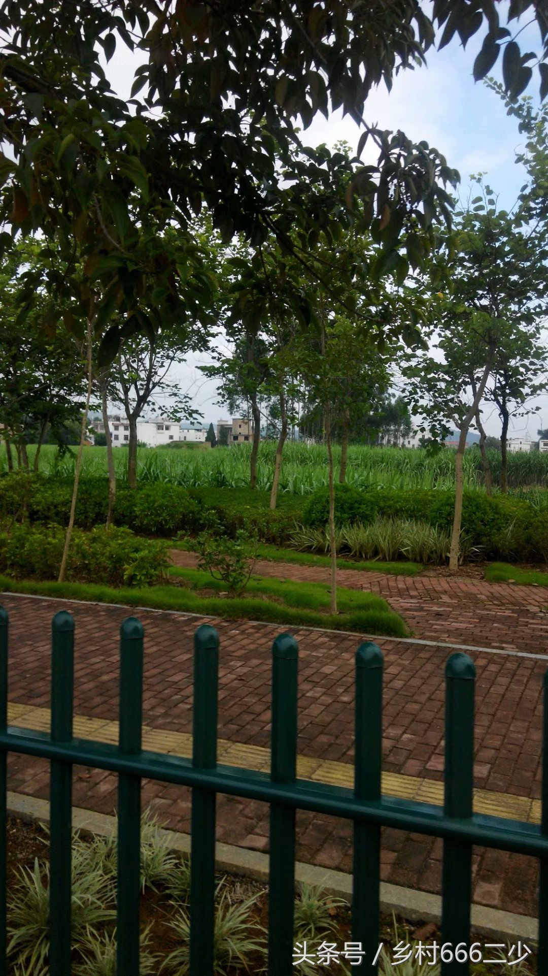 平凡之路赏析,平凡之路赏析及感悟