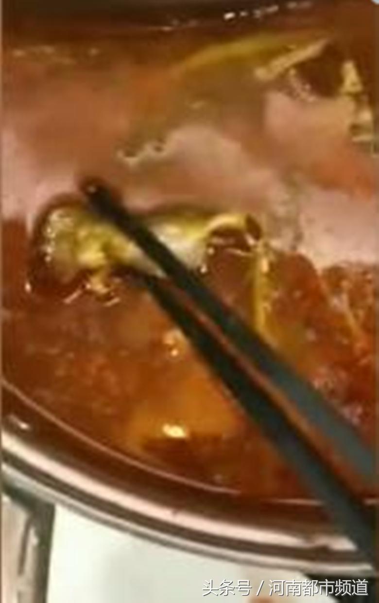 呷哺呷哺死老鼠处理结果,吃呷哺呷哺会吃出老鼠吗