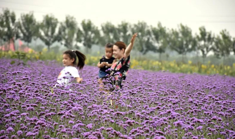 古城祥和庄园,祥和庄园治愈系风景