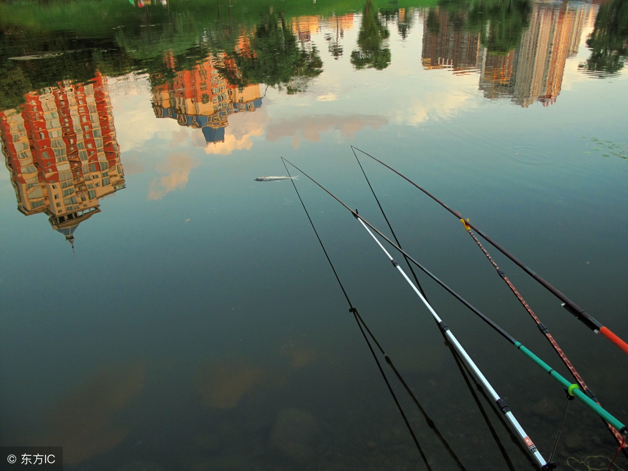 钓鱼有虾在闹窝该有什么办法,水库钓鱼虾米闹窝驱赶秘籍