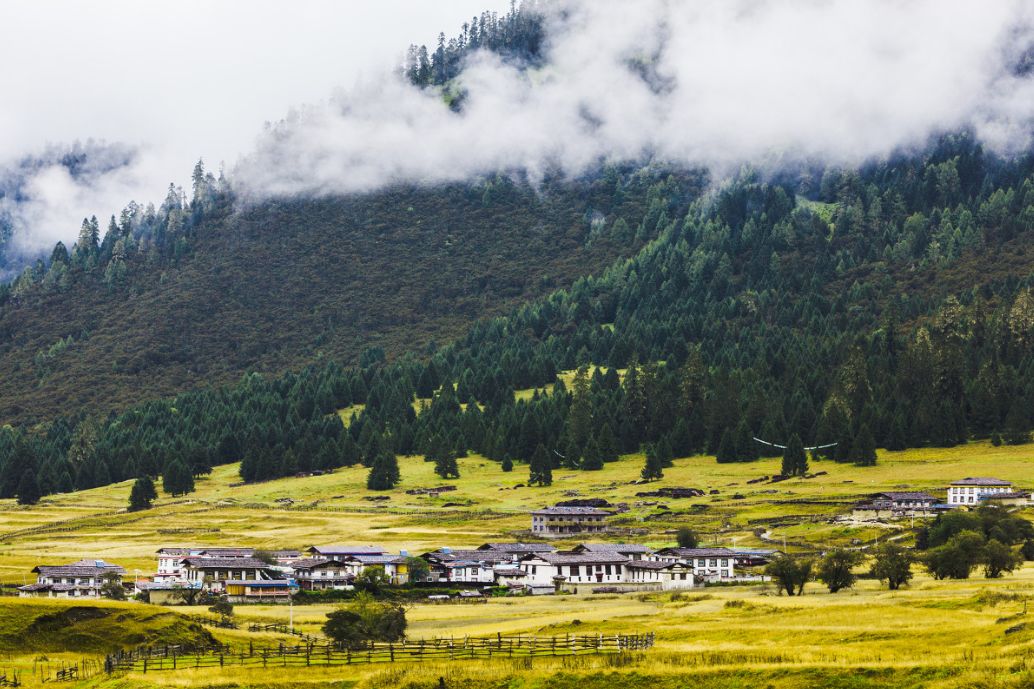 我存了256G的小黄片想和你深夜一起看