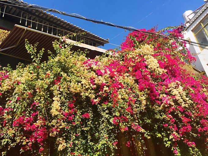 我是云南人搞笑视频,昆明大理腾冲视频