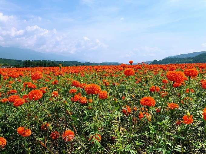 我是云南人搞笑视频,昆明大理腾冲视频