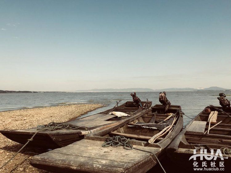 闲来游钓山水间，野塘子里上奇货！