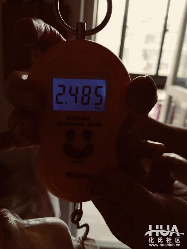 闲来游钓山水间，野塘子里上奇货！