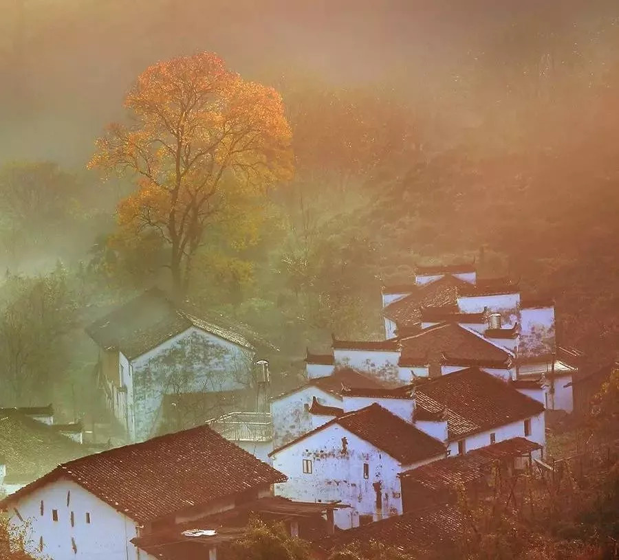 秋天最美婺源,秋季的婺源据说很美