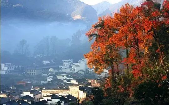 秋天的婺源什么时候去最美,秋天的婺源是色彩的天堂