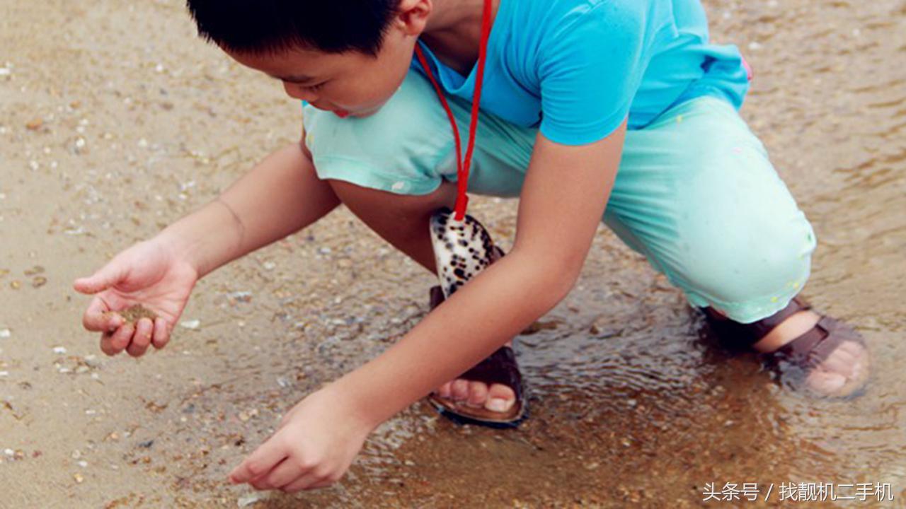 去泰国旅游不能碰什么东西,去泰国为什么不能碰有图案的叶子