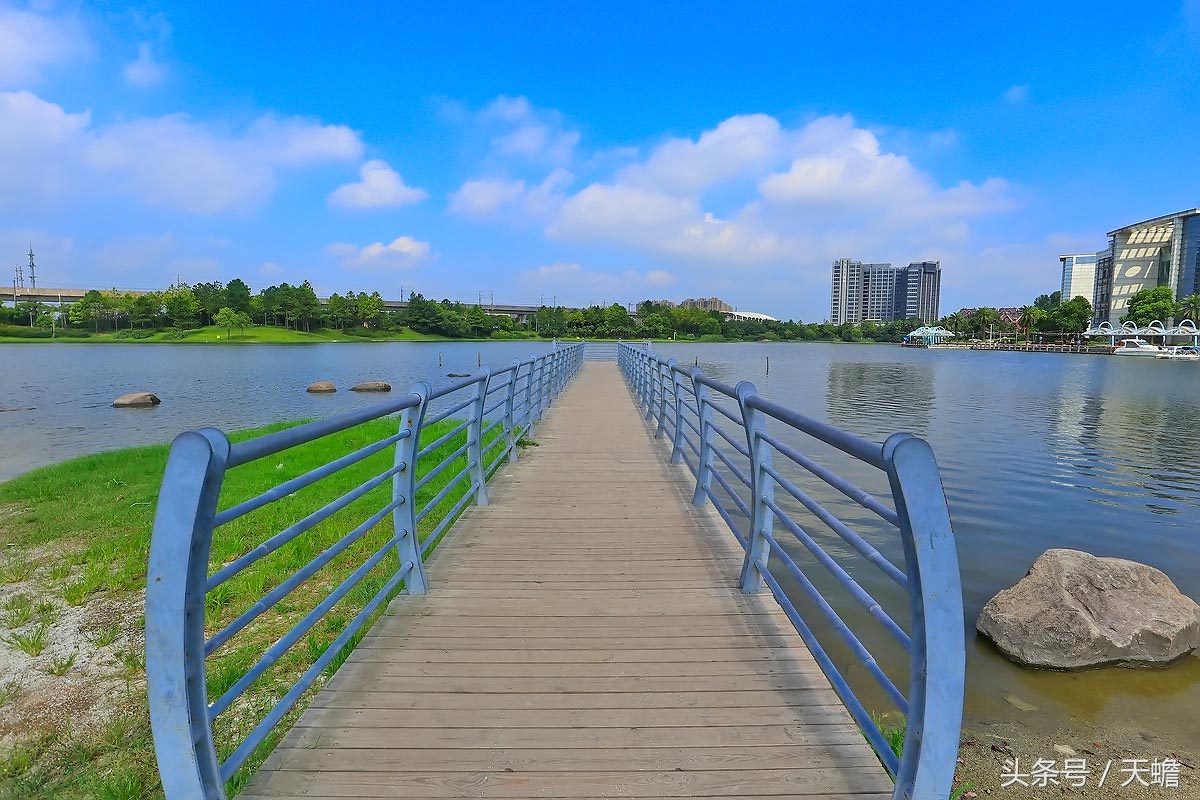 上海美兰湖,上海美兰湖别墅