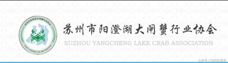 苏州阳澄湖大闸蟹行业协会官网,阳澄湖大闸蟹行业协会怎么样