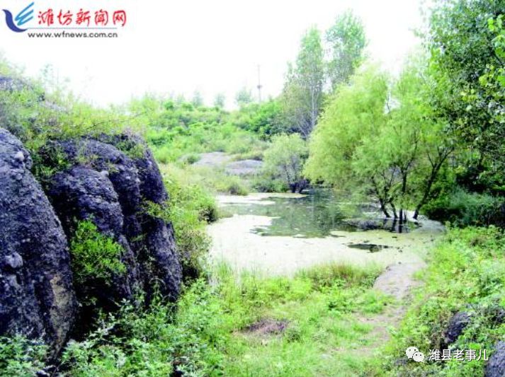 潍县有泉无?且看《寻泉记》!