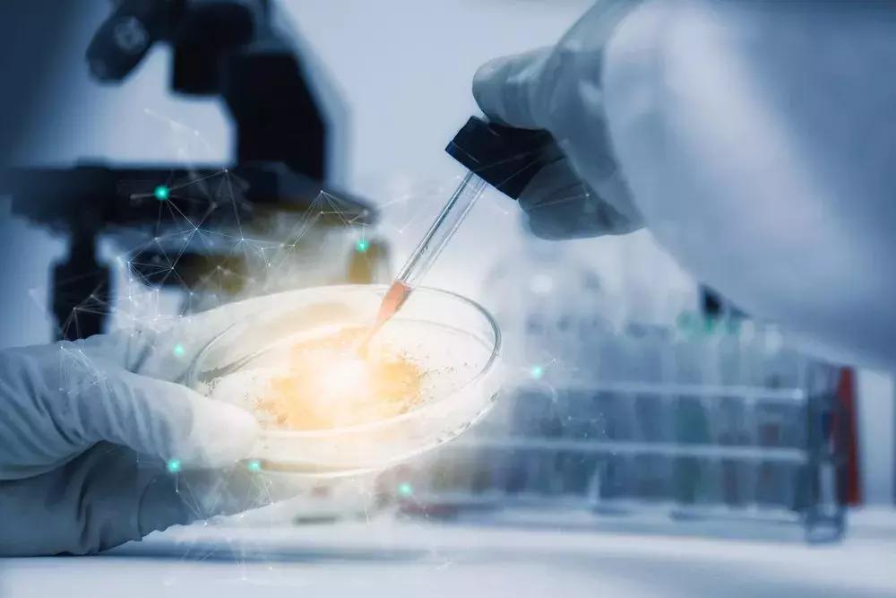 干细胞的潜力在哪里你了解吗,关于干细胞你应该知道什么