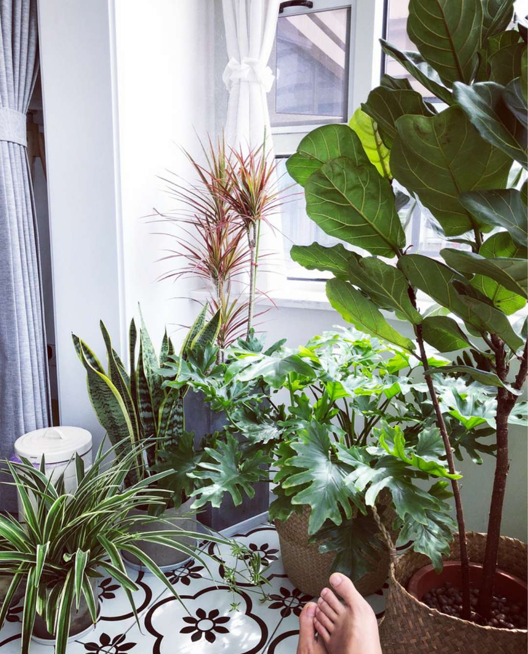 90后旅行达人,旅行达人宅家日常