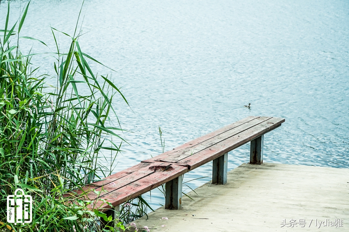 网易智造x3plus蓝牙hifi耳机,网易智造x3plus蓝牙耳机