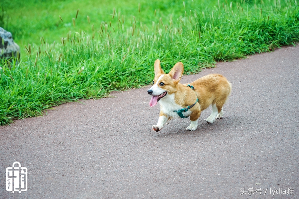 网易智造x3plus蓝牙hifi耳机,网易智造x3plus蓝牙耳机