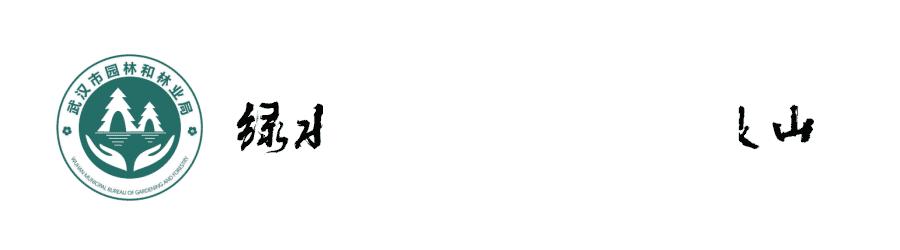 体育中心看展菊,在体育中心玩乐的一天