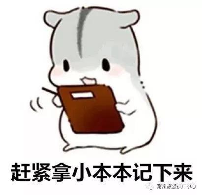 常州出发元旦两日游,从常州出发去哪里玩最便宜