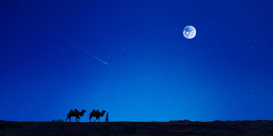 有深刻人生哲理的诗句有哪些,生活哲理的诗句大全水至清则无鱼