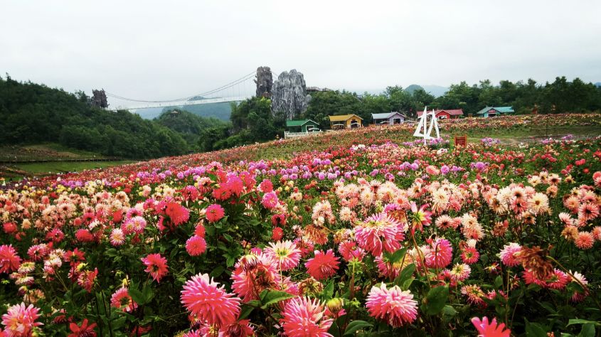 贵州什么季节最合适去旅行,未来三年贵州旅游攻略计划