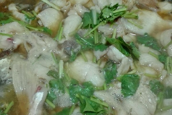 40款鱼的家常做法合集附详细教程,食谱10种草鱼的家常做法