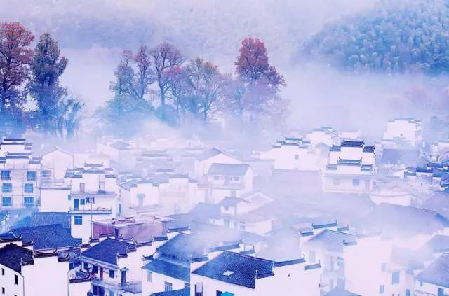 婺源的秋天真美,秋天的婺源什么时候去最美