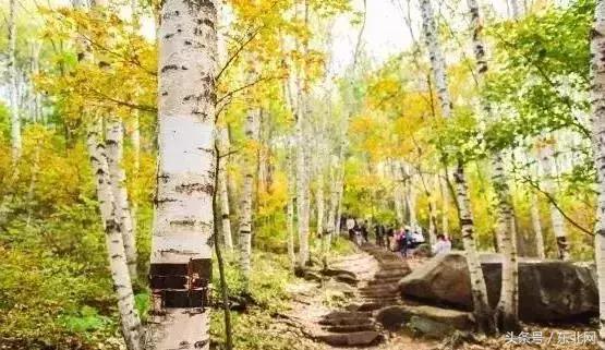 北京秋天一定要看的美景,北京秋天到处都是天堂般的美