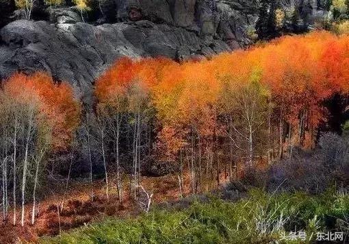 北京秋天一定要看的美景,北京秋天到处都是天堂般的美