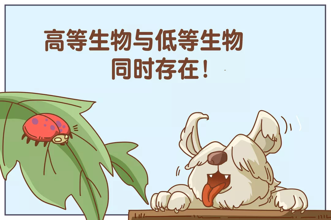 进化论是适者生存吗,适者生存达尔文进化论